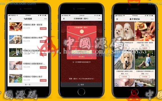 DS正版微信视频打赏源码代理分销系统,全新V15自动检测域名黑白名单 网站-第4张