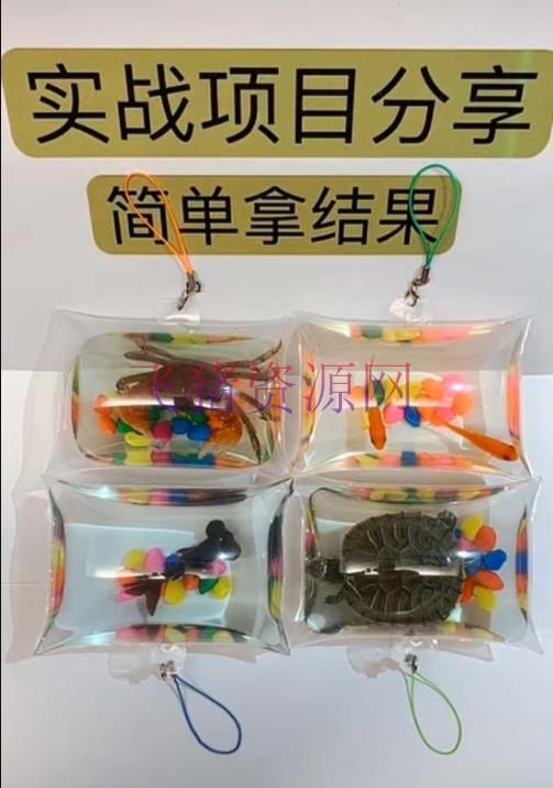 【网赚项目】最近抖音很火的泡泡鱼手艺小成本地摊创业项目,日賺500+项目课程解析