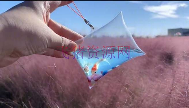 【网赚项目】最近抖音很火的泡泡鱼手艺小成本地摊创业项目,日賺500+项目课程解析