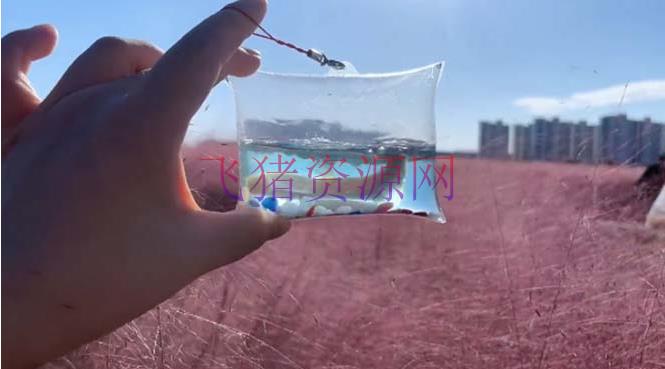 【网赚项目】最近抖音很火的泡泡鱼手艺小成本地摊创业项目,日賺500+项目课程解析