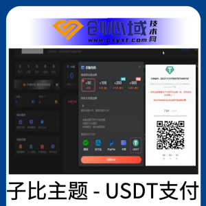 彩虹易支付Epay插件+子比主题USDT支付收款插件 - 各类插件 - EPAY, USDT支付, WordPress插件, 一键集成, 会员充值, 多场景收款, 子比主题, 安全支付, 彩虹易支付, 数字货币收款, 汇率自定义, 虚拟资源-飞猪资源网
