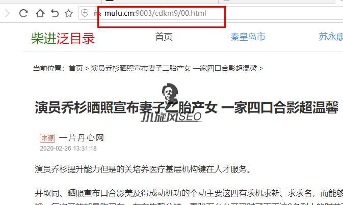 图片[6]-【教程】如何使用泛端口站群模式以及宝塔开启服务器端口 - 站群技巧 - 飞猪源码网-飞猪源码网