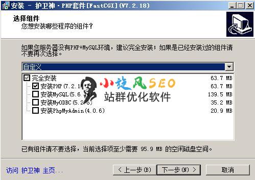 图片[4]-windows 2008服务器怎么搭建站群环境？ - 服务器技术 - 飞猪源码网-飞猪源码网