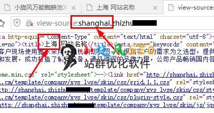 图片[6]-【教程】用蜘蛛池实现城市站群的方法和配置 - 蜘蛛池 - 飞猪源码网-飞猪源码网