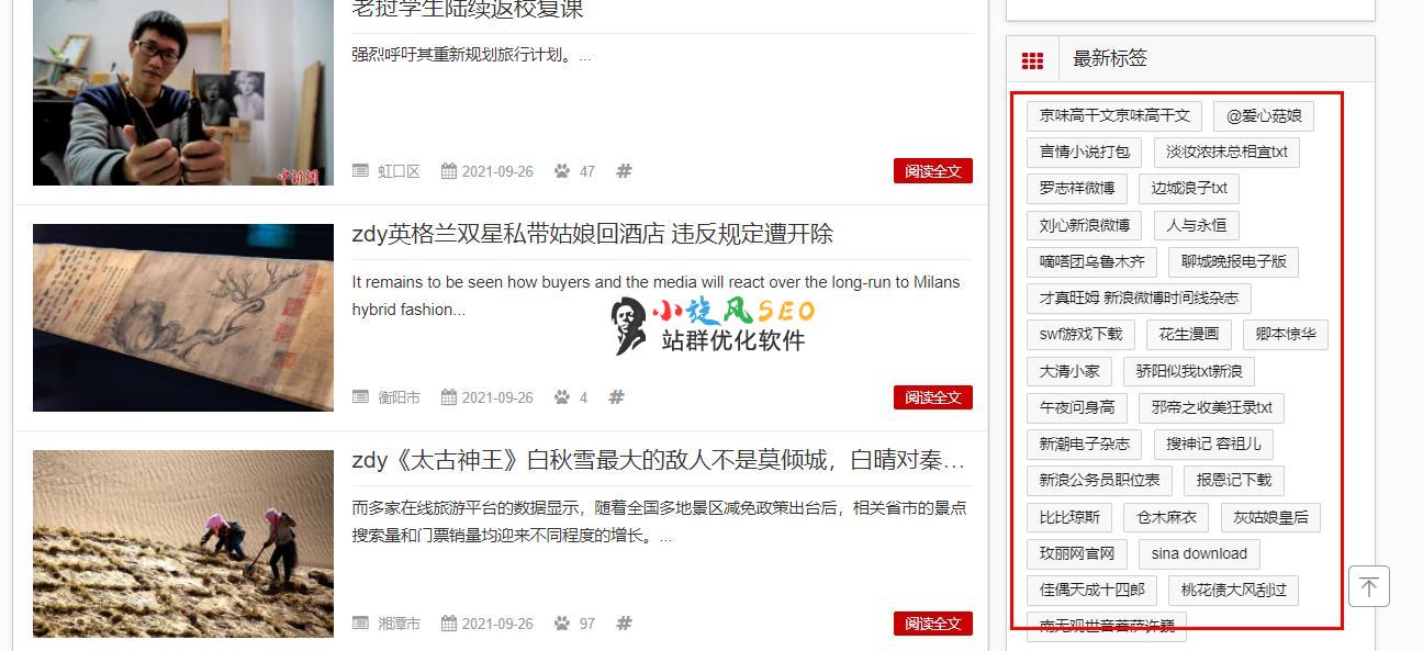 图片[8]-蜘蛛池制作tag标签页（自定义模板如何实现内页标题对应） - 蜘蛛池 - 飞猪源码网-飞猪源码网