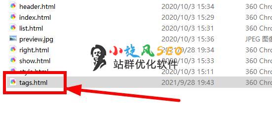 图片[9]-蜘蛛池制作tag标签页（自定义模板如何实现内页标题对应） - 蜘蛛池 - 飞猪源码网-飞猪源码网