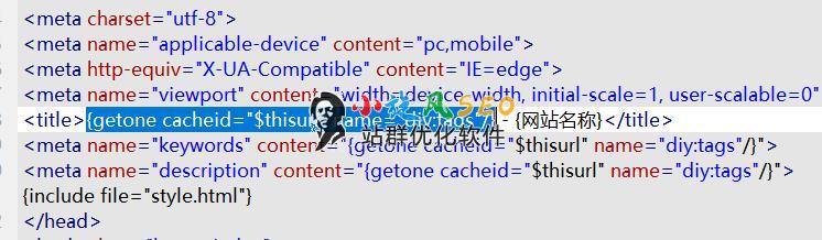 图片[10]-蜘蛛池制作tag标签页（自定义模板如何实现内页标题对应） - 蜘蛛池 - 飞猪源码网-飞猪源码网