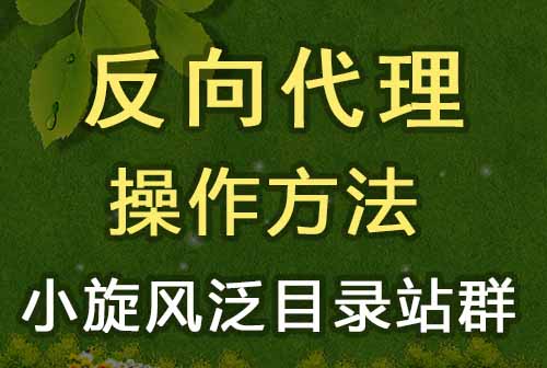 小旋风泛目录站群（apache、nginx、IIS）的反向代理设置方法 - 泛目录站群 - html在线学习, nginx, redis, SEO快速排名, 伪静态, 反向代理, 广告代码, 泛目录, 泛站群, 百度快速排名, 站群关键词, 站群程序, 站群软件, 站长工具, 网站搬家, 蜘蛛池, 蜘蛛池模板, 视频教程, 采集英文, 采集规则-飞猪资源网