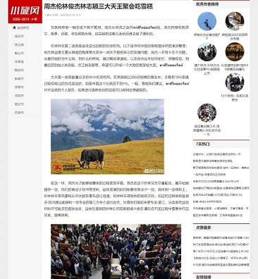 图片[2]-【自适应博客模板】仿卢松松博客蜘蛛池SEO模板，适用于新闻模型 - 资源下载 - 飞猪源码网-飞猪源码网