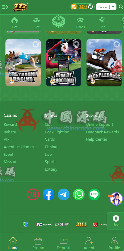 多接口整合海外PG平台源码 H5-第8张