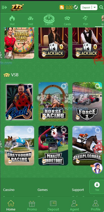 多接口整合海外PG平台源码 H5-第6张