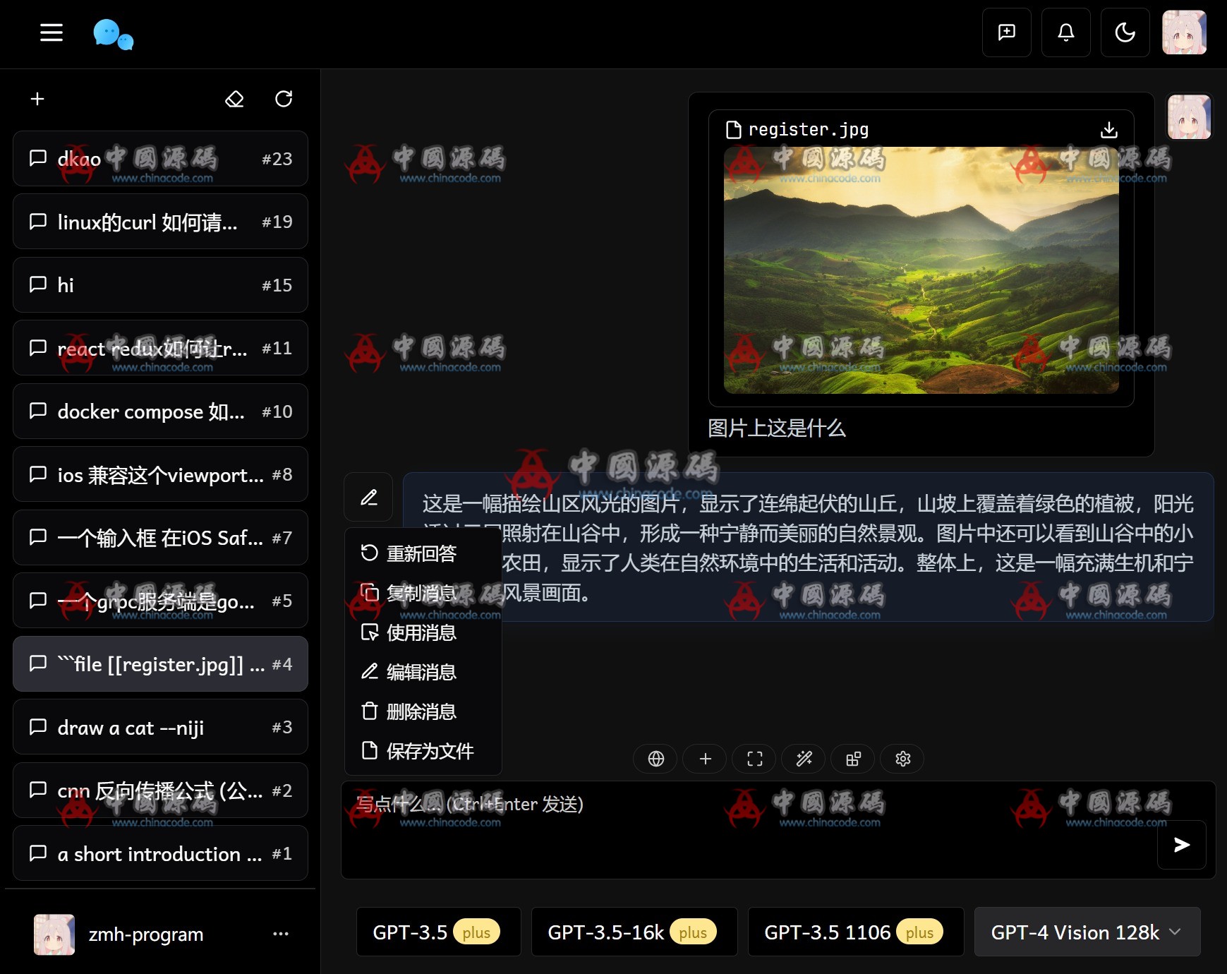 最新版ChatGPT对话系统源码 Chat Nio系统源码 网站-第4张