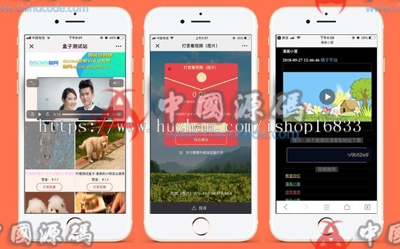 DS正版微信视频打赏源码代理分销系统，全新V15自动检测域名黑白名单 - 网站源码 --飞猪资源网