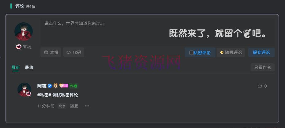 【WordPress插件】WordPress主题子比主题 添加私密评论功能 - wordpress模板插件 --飞猪资源网