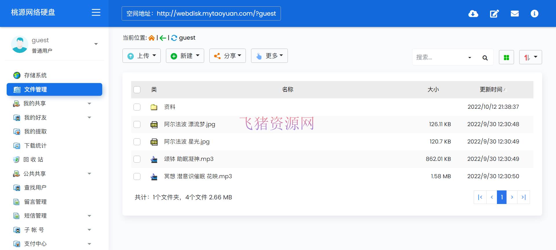 [.NET源码] 桃源网络硬盘 v7.4 - 其他源码 --飞猪资源网