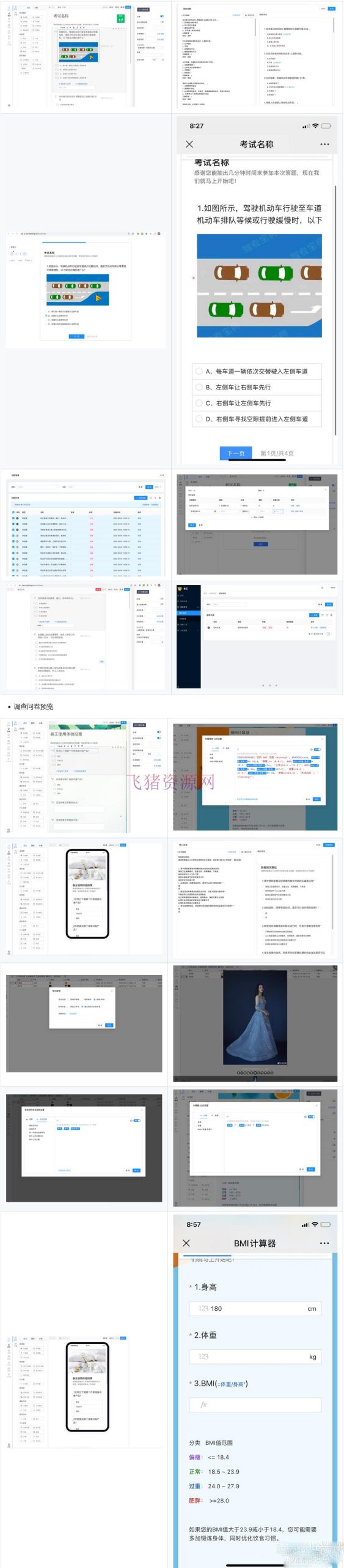 卷王问卷考试系统SurveyKing，开源调查问卷和考试系统源码 - PHP源码 --飞猪资源网