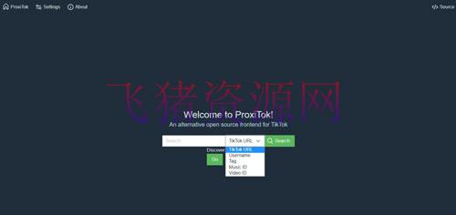 [php源码] 支持国内直连国际版抖音TikTok的简易程序 ProxiTok - PHP源码 --飞猪资源网