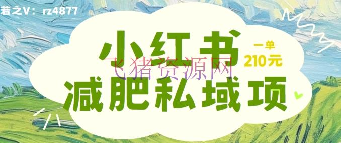 【网赚项目】小红书瘦身粉，私域变现项目，一单就达210元，小白也能轻松上手【揭秘】 - 爆粉引流 - 小红书运营, 网赚项目-飞猪资源网