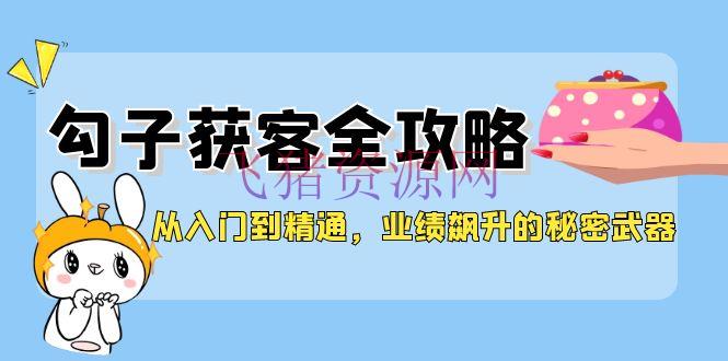 【网赚项目】从入门到通晓，勾子获客全攻略，成绩飙升的秘密武器 - 爆粉引流 - 勾子获客, 网赚项目-飞猪资源网