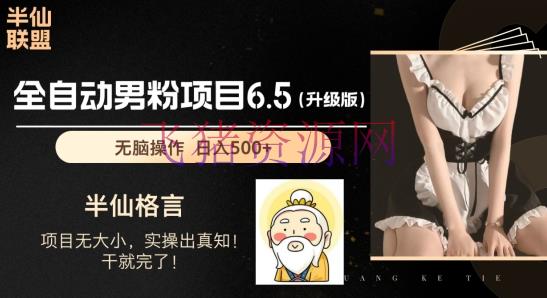 【网赚项目】男粉项目6.5升级版，全自动男粉项目，日收入1K+【揭秘】 - 爆粉引流 - 吸粉引流, 网赚项目-飞猪资源网