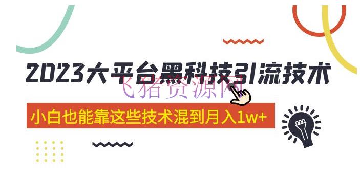 价值4899的2023大渠道黑科技引流技能 小白也能靠这些技能混到月入1w+29节课 - 爆粉引流 - 吸粉引流, 引流变现, 引流技术, 引流软件, 网赚项目, 赚钱项目-飞猪资源网