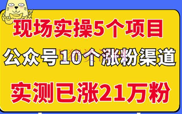 【自媒体运营】现场实操5个大众号项目，10个涨粉途径，实测已涨21万粉 - 爆粉引流 - 公众号运营, 引流变现, 涨粉引流, 网赚项目, 自媒体, 自媒体运营, 赚钱项目-飞猪资源网