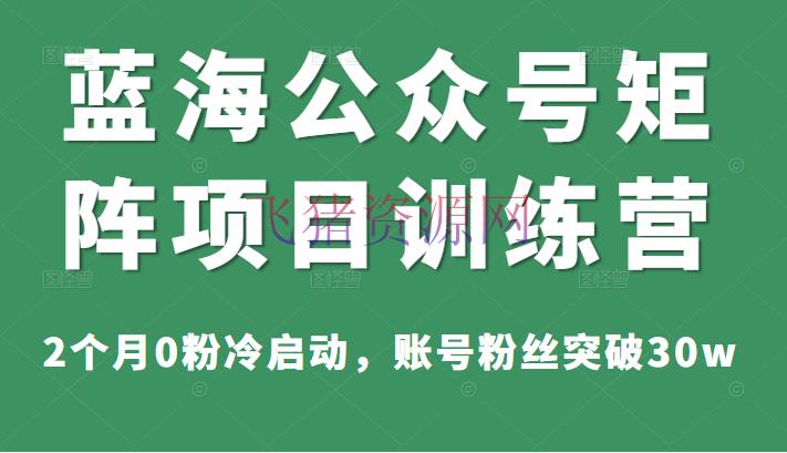 【引流变现】蓝海大众号矩阵项目训练营，2个月0粉冷启动，账号粉丝打破30w，价值1800元 - 爆粉引流 - 公众号运营, 引流变现, 微信公众号, 涨粉, 自媒体, 赚钱项目-飞猪资源网