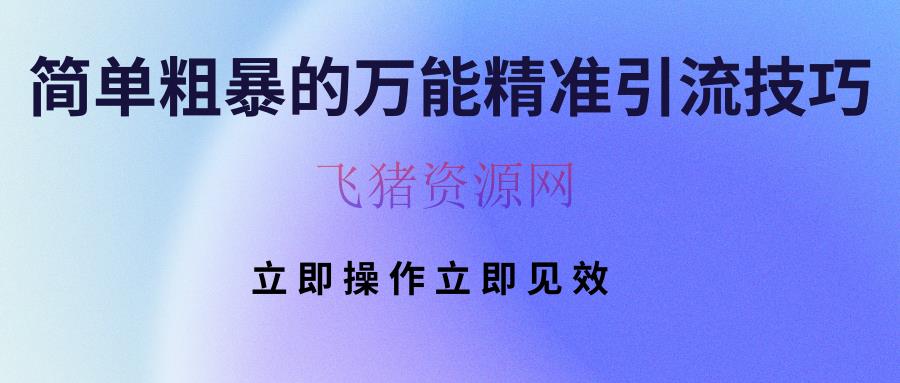 【网赚项目】简略粗犷的全能精准引流技巧 当即操作当即收效 - 爆粉引流 飞猪资源网-飞猪资源网