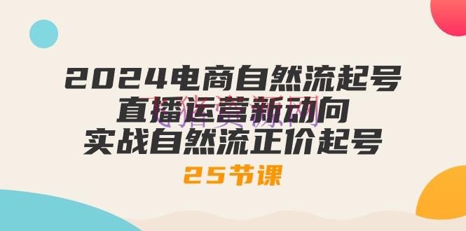 【电商运营】2024电商天然流起号，直播运营新动向 实战天然流正价起号-25节课 - 抖音小店 - 电商运营, 直播, 短视频-飞猪资源网