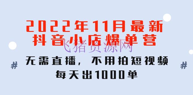 【电商运营】2022年11月最新抖音小店爆单营：无需直播，不必拍短视频，每天出1000单 - 抖音小店 - 抖店运营, 抖音带货, 抖音电商, 抖音赚钱, 抖音运营, 电商运营, 短视频运营-飞猪资源网