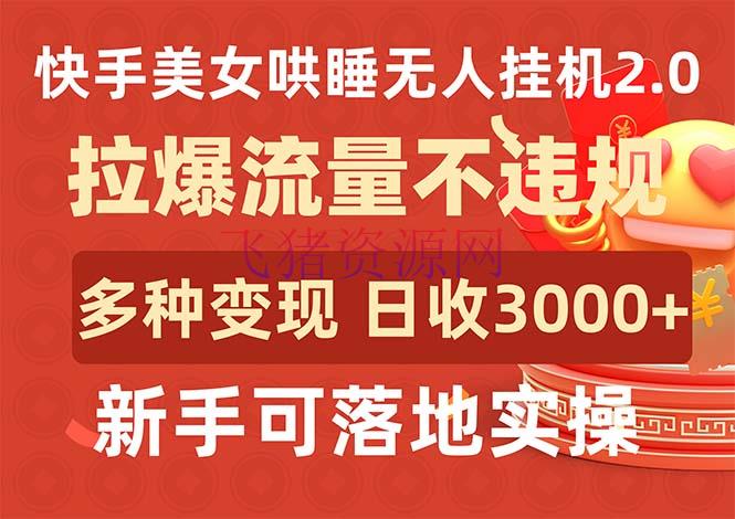 【网赚项目】快手美人哄睡无人挂机2.0，拉爆流量不违规，多种变现途径，日收3000+ - 抖音快手 - 快手直播, 无人直播, 网赚项目-飞猪资源网