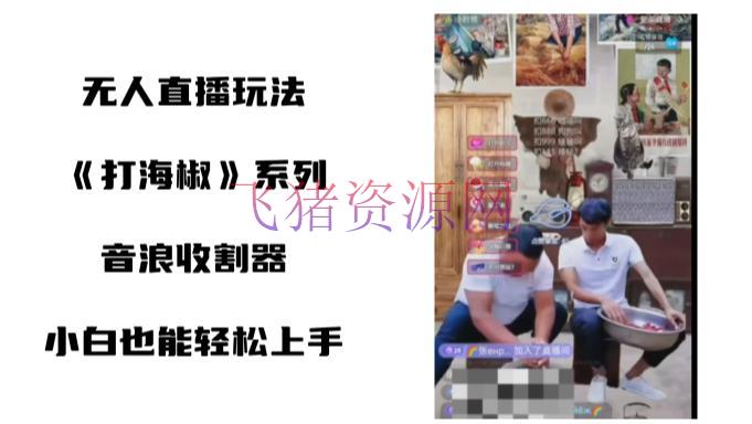 【网赚项目】无人直播打海椒整蛊项目，新手轻松上手撸音浪收割器（教程+东西+资料） - 抖音快手 飞猪资源网-飞猪资源网