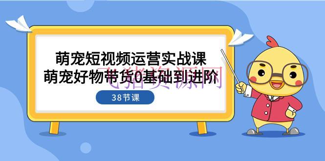 【短视频运营】萌宠短视频攻略：从0根底到进阶，带你探究带货奥妙（38节课） - 抖音快手 - 短视频运营, 萌宠, 萌宠短视频, 视频带货-飞猪资源网