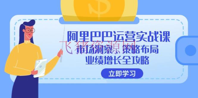 【电商运营】阿里巴巴运营实战课：商场洞悉、战略布局、成绩增加全攻略 - 淘宝 - 电商运营-飞猪资源网