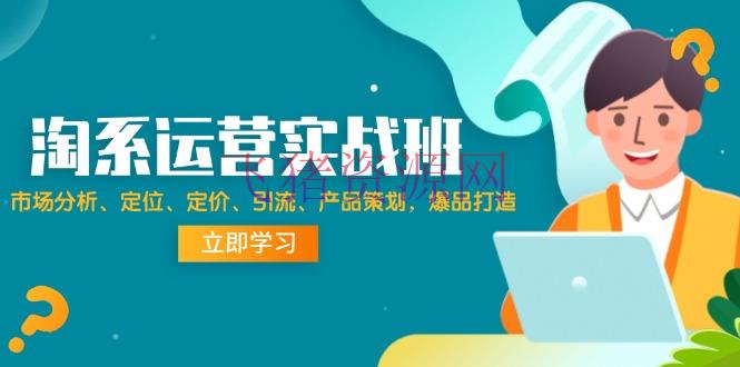 【电商运营】淘系运营实战班：市场分析、定位、定价、引流、产品策划，爆品打造 - 淘宝 飞猪资源网-飞猪资源网