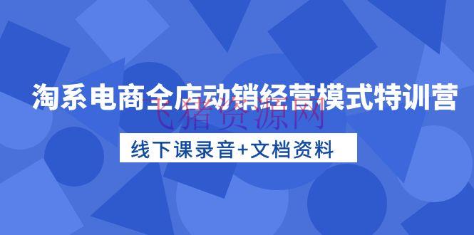 【电商运营】淘系电商运营高手特训：全店动销运营形式，线下课录音+文档资料 - 淘宝 --飞猪资源网