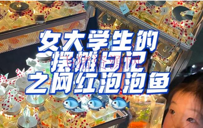 【网赚项目】最近抖音很火的泡泡鱼手艺小成本地摊创业项目，日賺500+项目课程解析 - 抖音快手 - 副业项目, 抖音运营, 泡泡鱼项目-飞猪资源网