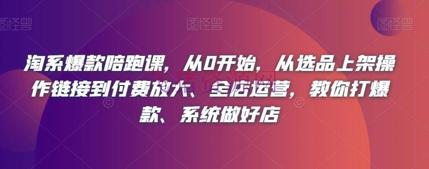 【淘宝运营】从选品到全店运营，淘系爆款陪跑课教你体系打造爆款店肆 - 淘宝 - 电商运营, 运营-飞猪资源网