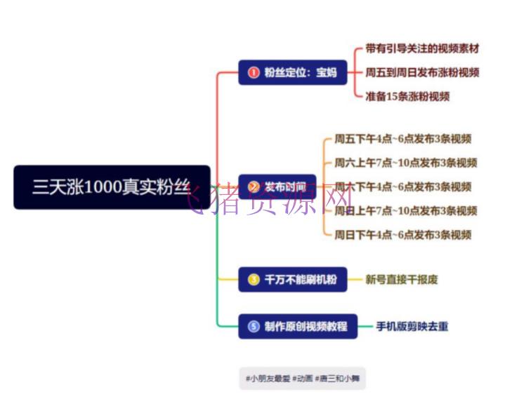 图片[2]-【短视频运营】抖音快手三天起号涨粉1000宝妈粉丝的中心办法【具体玩法教程】-吾图资源网