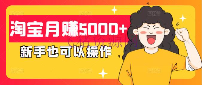 【淘宝运营】淘宝月赚5000+实操教程，单品第七天赢利600+，新手也能够操作 - 淘宝 飞猪资源网-飞猪资源网