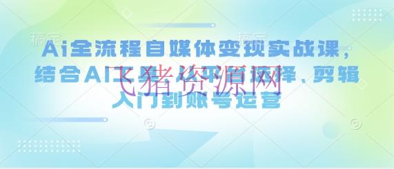 Ai全流程自媒体变现实战课，结合AI东西，从渠道挑选、编排入门到账号运营 - 网赚项目 --飞猪资源网
