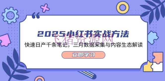 【网赚项目】2025小红书实战办法，快速日产千条笔记，三月数据收集与内容生态解读 - 网赚项目 - 小红书实战, 网赚项目-飞猪资源网