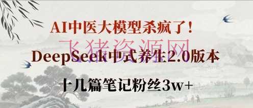 【AI变现】AI中医大模型杀疯了！DeepSeek中式摄生2.0版别，十几篇笔记粉丝3w+ - 网赚项目 - AI中医, AI变现, DeepSeek-飞猪资源网