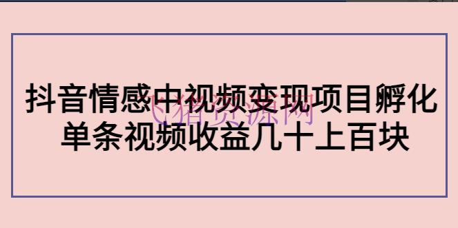 黄岛主副业孵化营第5期：抖音情感中视频变现项目孵化 单条视频收益几十上百 - 抖音快手 - 中视频项目, 副业项目, 抖音, 抖音赚钱, 抖音运营, 网赚项目, 赚钱项目-飞猪资源网