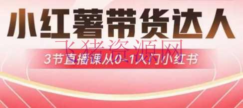 【网赚项目】小红薯达人带货启航方案，3节直播课从0-1入门小红书 - 网赚项目 - 小红书, 网赚项目-飞猪资源网