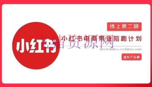 【网赚项目】2025小红书虚拟电商实战课，从0到1打造无货源店肆，AI+爆款笔记轻松变现 - 网赚项目 - 小红书虚拟电商, 网赚项目, 虚拟电商-飞猪资源网