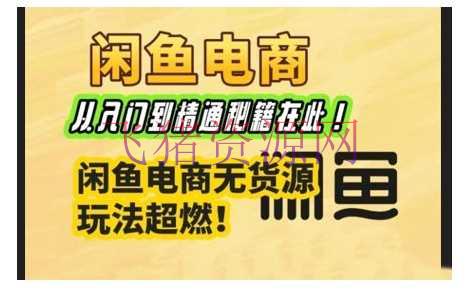 【网赚项目】闲鱼电商实战课，从入门到通晓秘籍在此，闲鱼电商无货源玩法超燃! - 网赚项目 - 网赚项目, 闲鱼电商-飞猪资源网
