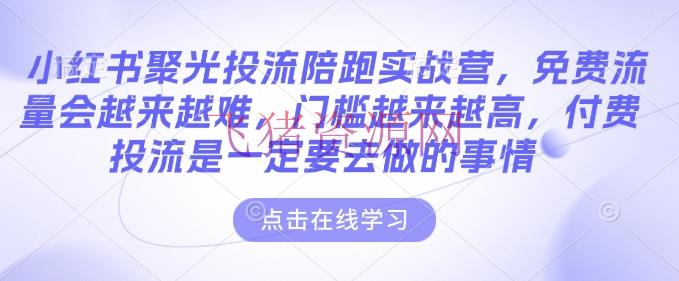 小红书聚光投流陪跑实战营，免费流量会越来越难，门槛越来越高，付费投流是必定要去做的工作 - 网赚项目 - 小红书, 网赚项目-飞猪资源网