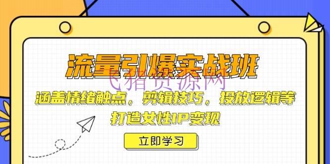 【网赚项目】流量引爆实战班，包括心情触点，编排技巧，投进逻辑等，打造女人IP变现 - 网赚项目 - 网赚项目-飞猪资源网