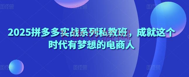 【电商运营】2025拼多多实战系列私教班，成果这个年代有愿望的电商人 - 拼多多 - 电商运营-飞猪资源网